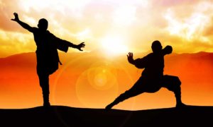 Kung Fu Shaolin Torino